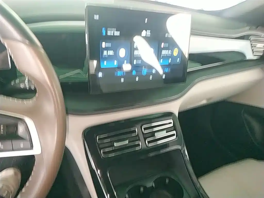 BYD Qin PLUS 2023 Champion Edition DM-i 55KM Leading фото 13