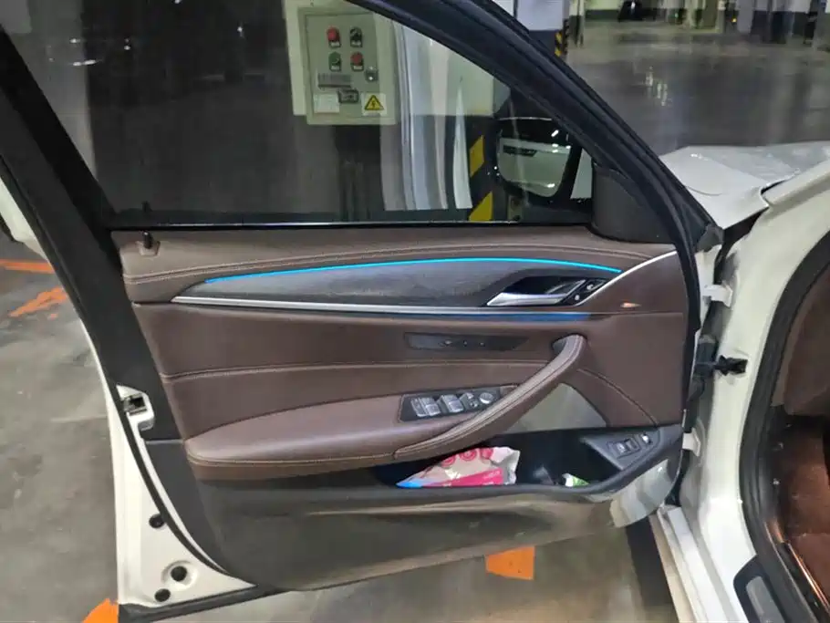 BMW 5 Series New Energy 2021 535Le M Sport Package фото 7