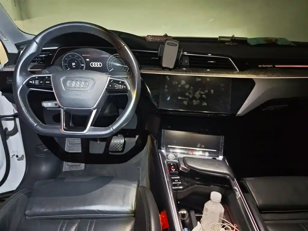 Audi e-tron (Import) 2019 55 quattro Technology фото 10