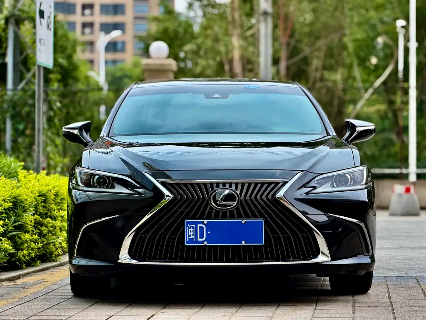 Lexus ES 2018 200 Excellence Edition China V фото 2