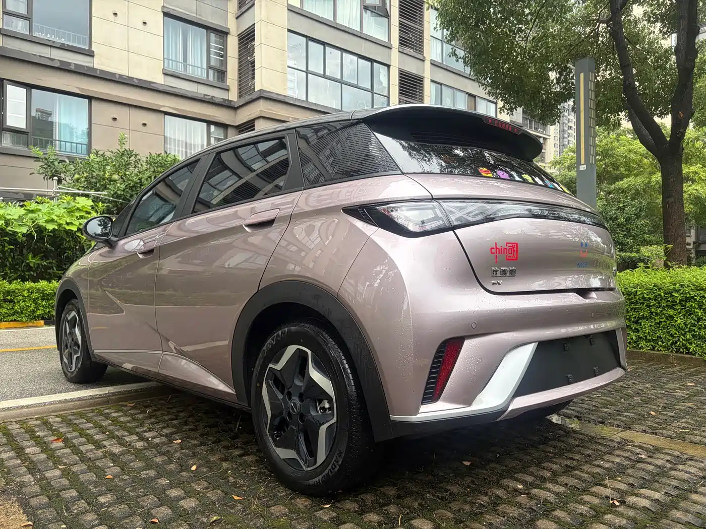 BYD Dolphin 2021 2021 Model 405km Fashion Edition