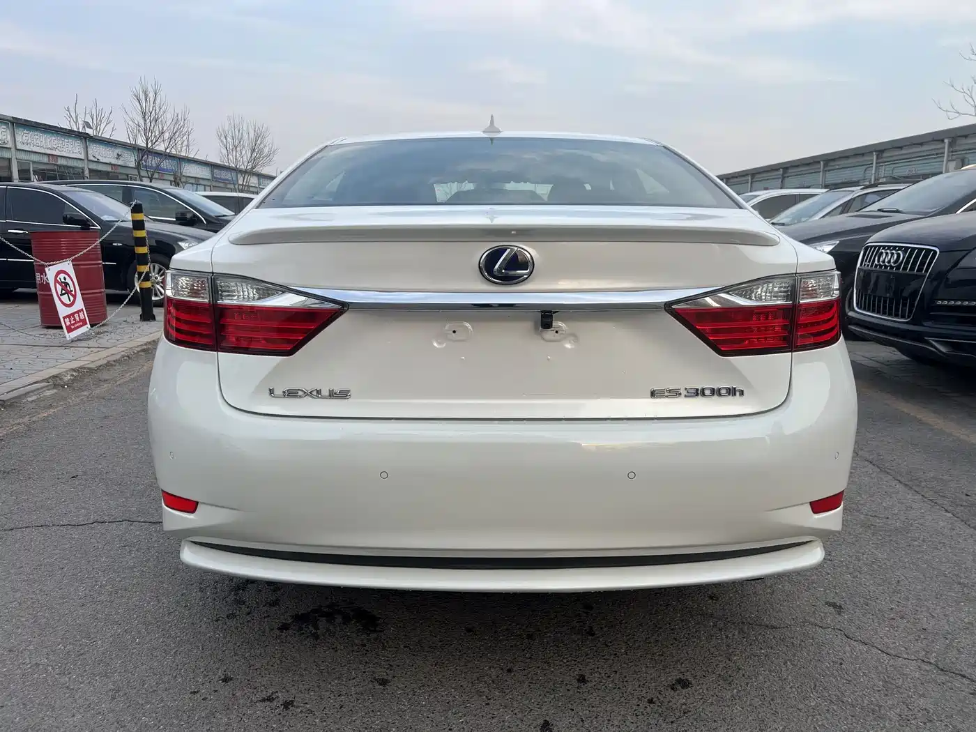 Lexus ES 2014 300h Elite Edition фото 9