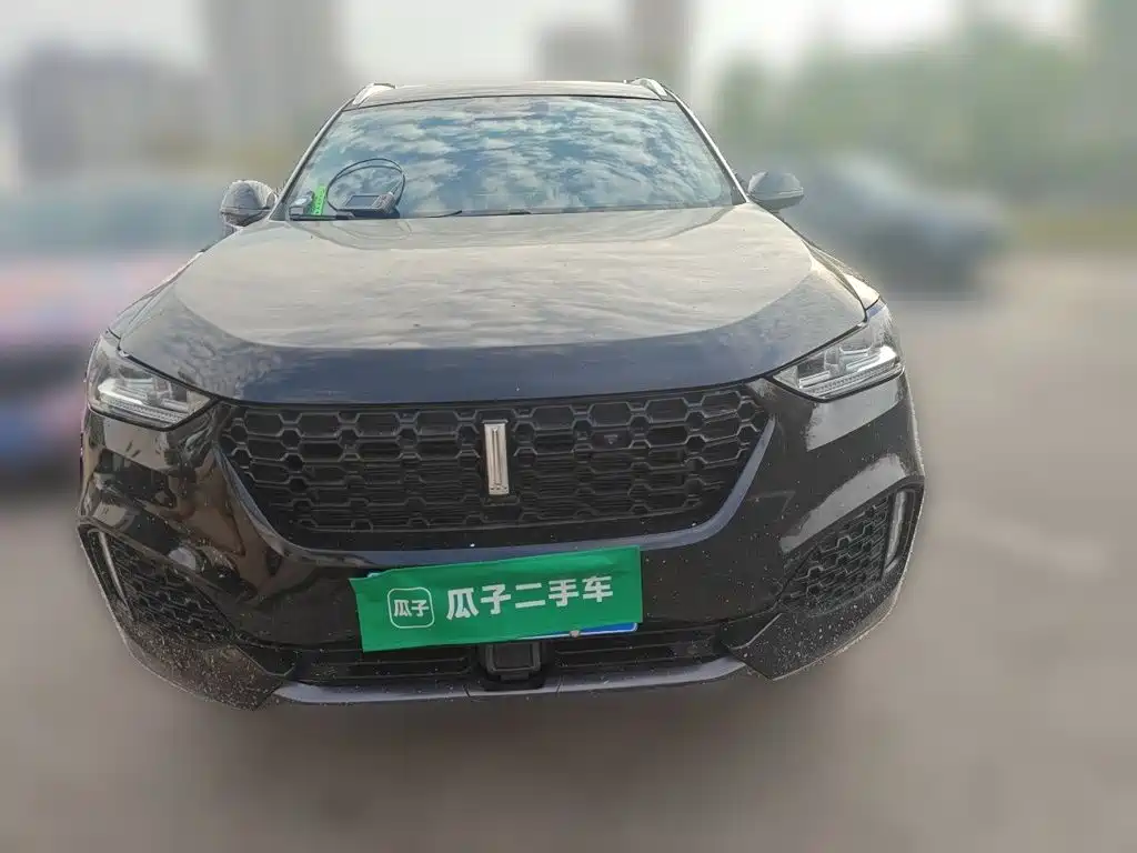 WEY VV6 2019 2018 2.0T 2WD Super Luxury China V