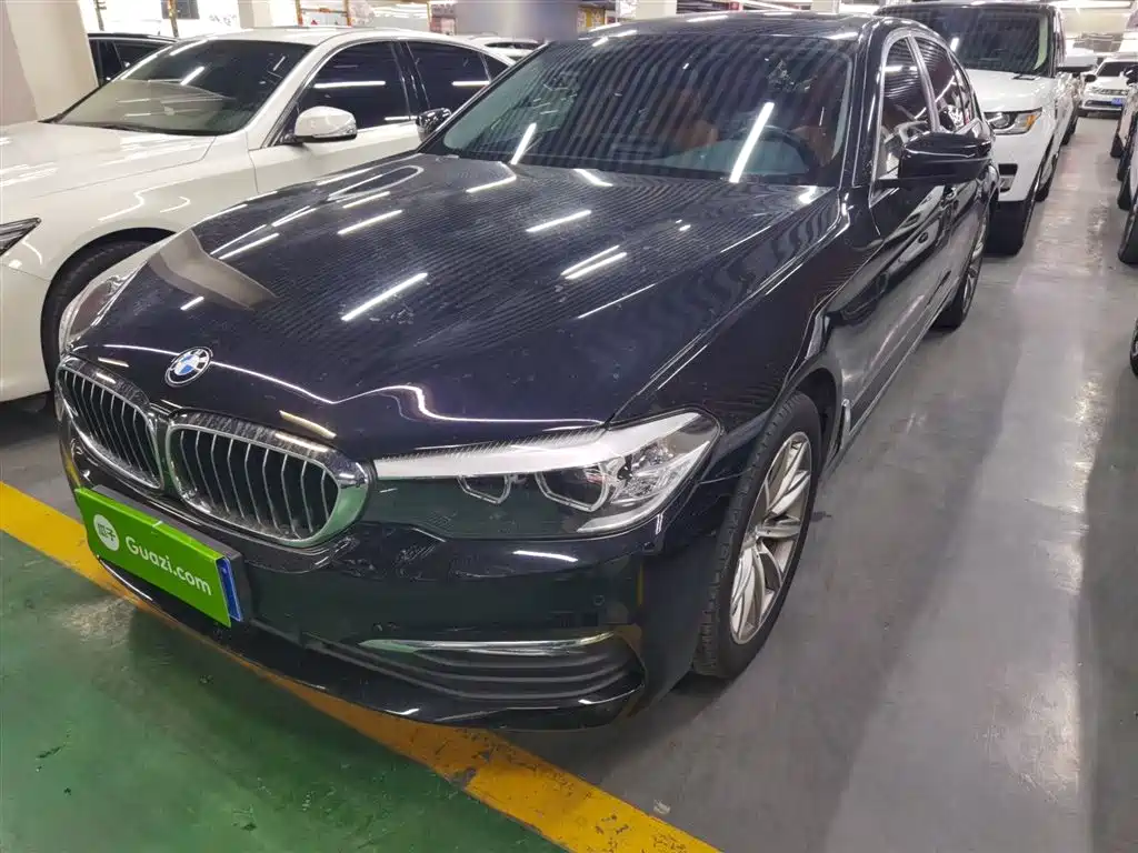 BMW 5 Series 2018 528Li Launch Special Edition