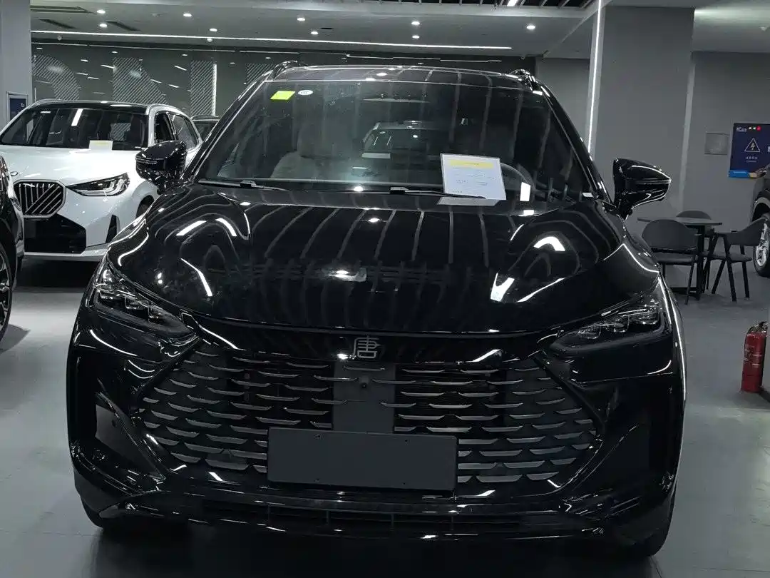 Фото 2 - BYD Tang New Energy