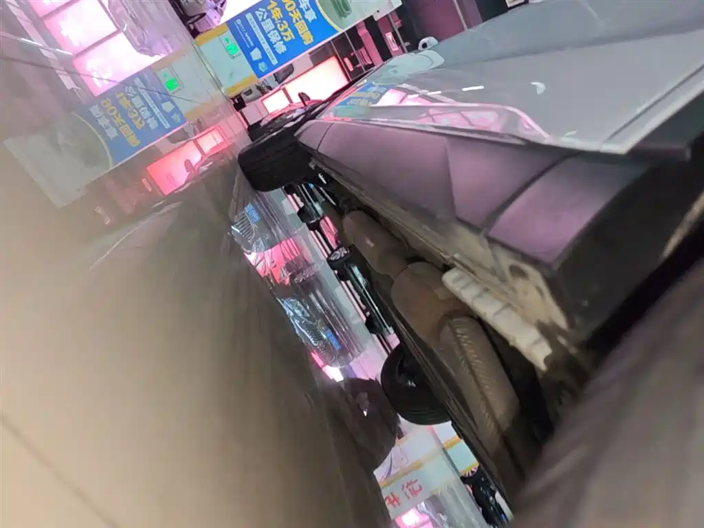 BYD Song Pro New Energy 2024 Glory Edition DM-i 71KM Pilot фото 21