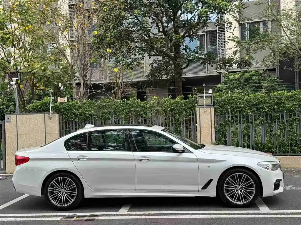 BMW 5 Series 2018 530Li Leading M Sport Package фото 4