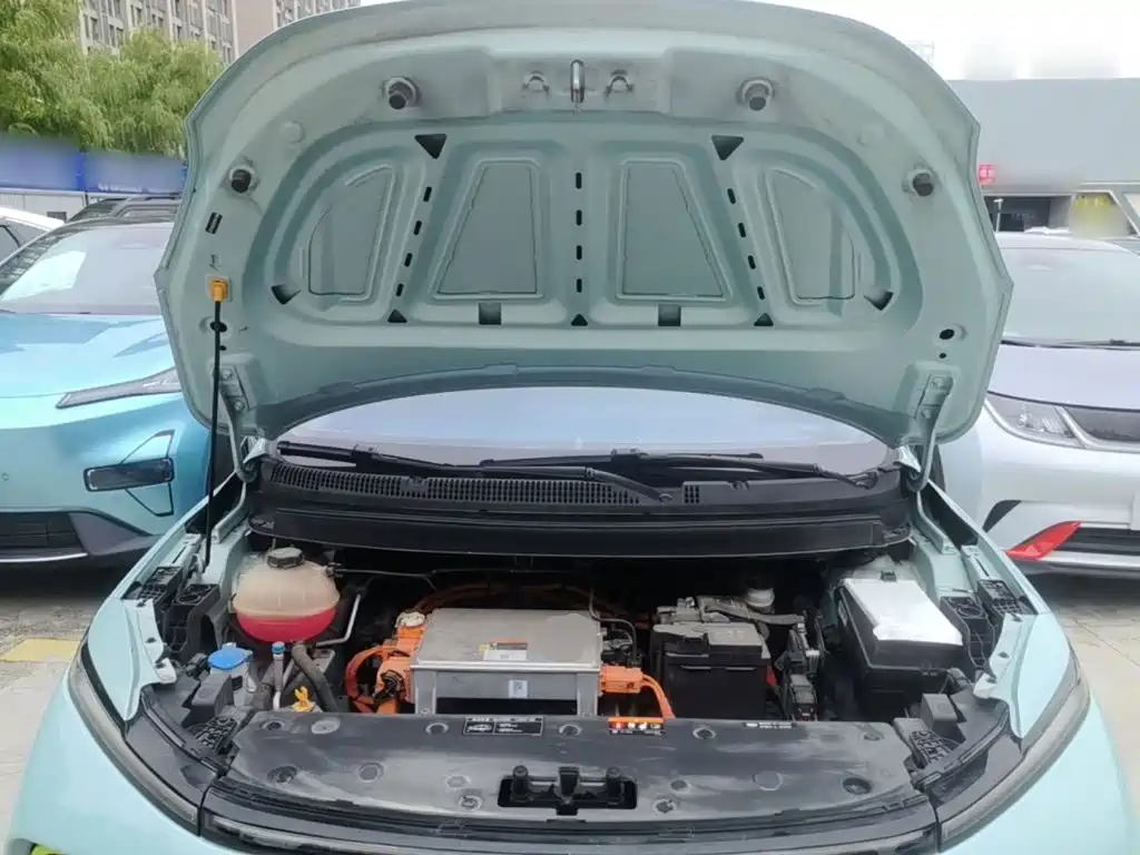 Geely Geometry E Firefly 2022 2022 401KM Delicate Tiger 4-seater