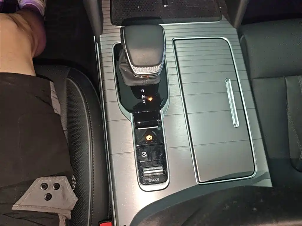 Hongqi HS7 PHEV 2024 2.0T PHEV AWD Qichang Edition 7-seater фото 21