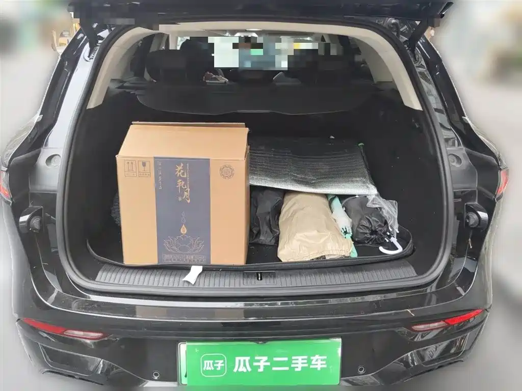Voyah Auto VOYAH FREE 2024 Ultra Long Range Intelligent Driving Edition фото 15