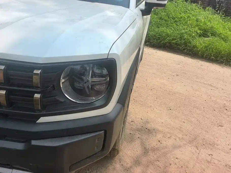 Haval Cool Dog 2023 2022 1.5T DCT 2WD Trend Edition