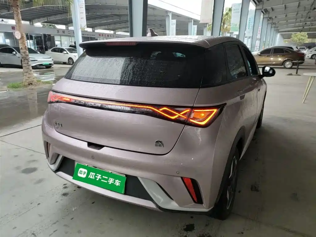 BYD Dolphin 2021 Model 405km Fashion Edition фото 7