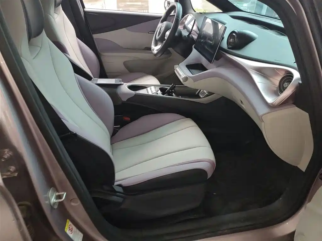 BYD Dolphin 2021 Model 405km Fashion Edition фото 25