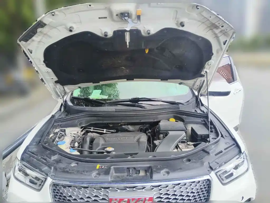 Haval H2s 2018 2018 Red Label 1.5T DCT Luxury Model