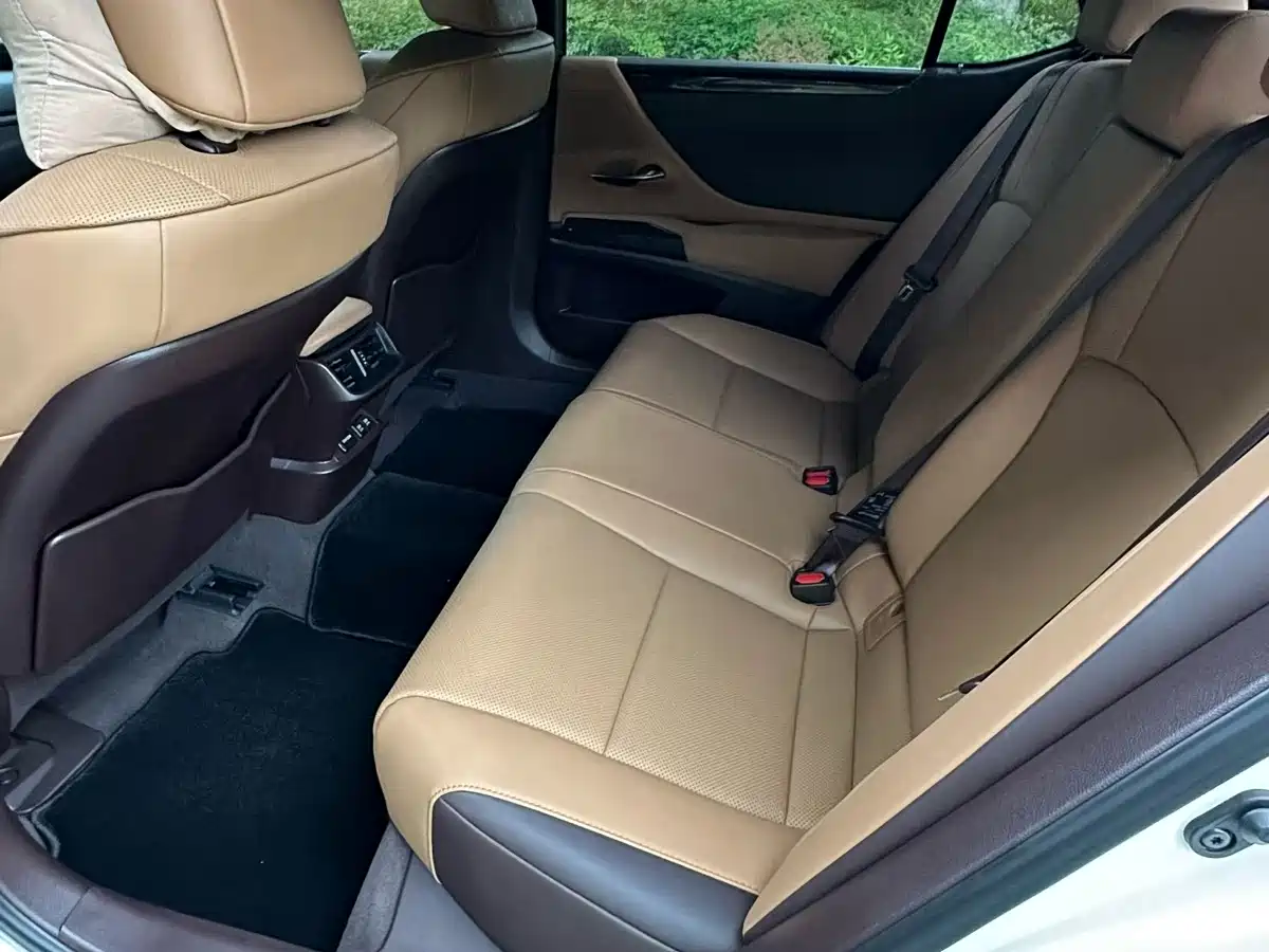 Lexus ES 2021 200 Excellence Edition фото 8