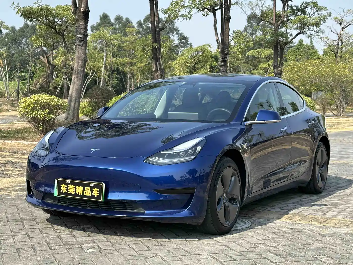 Tesla Model 3 (Import) 2019 2019 Standard Range RWD Upgraded Edition