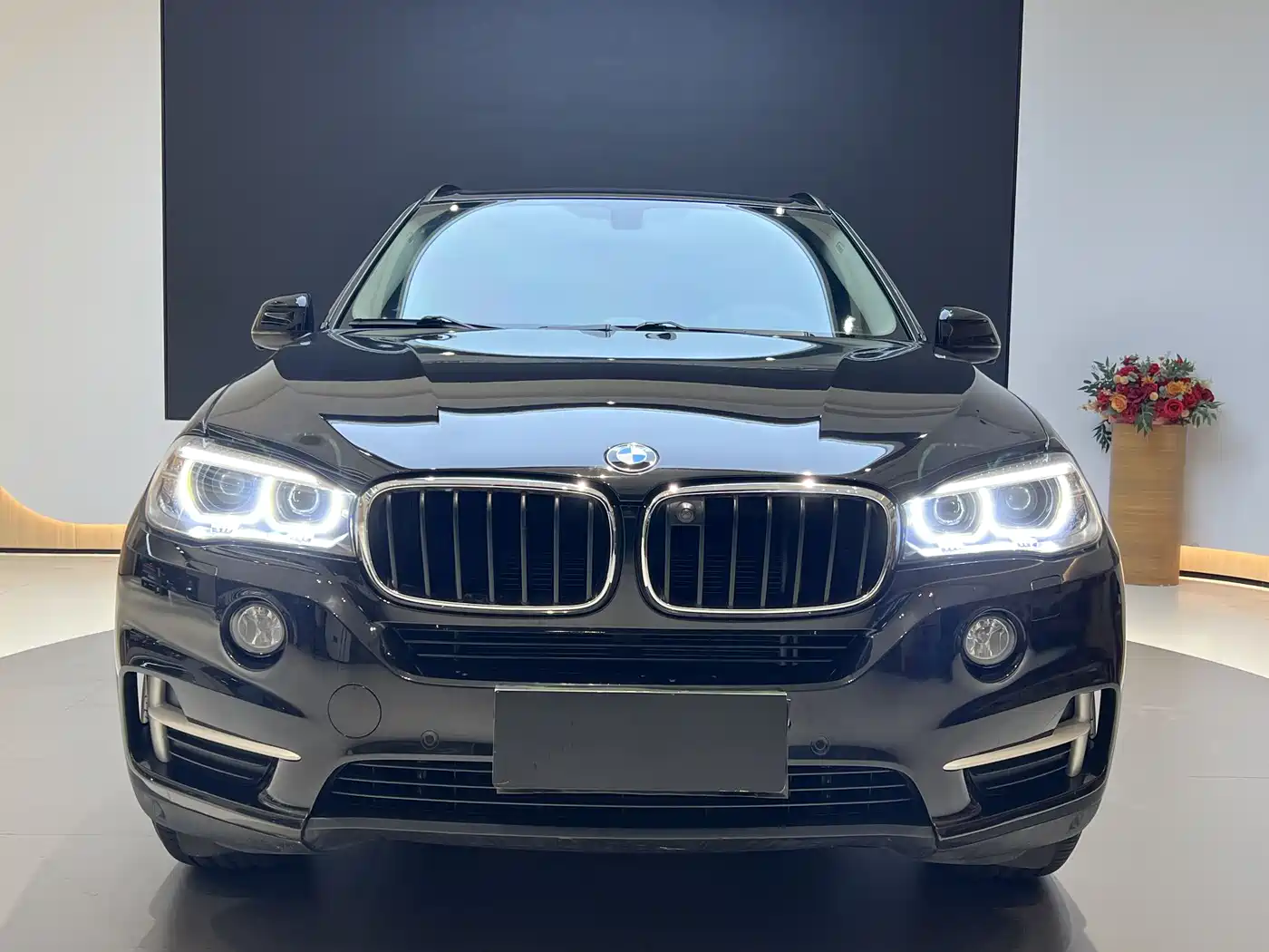 BMW X5 (Import) 2015 xDrive28i фото 3
