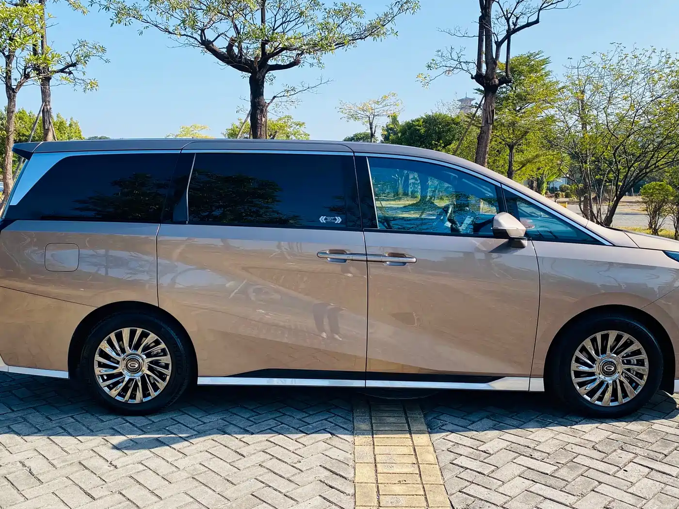 GAC Trumpchi Trumpchi M8 2023 Master Series Dual Hybrid Flagship Edition фото 25