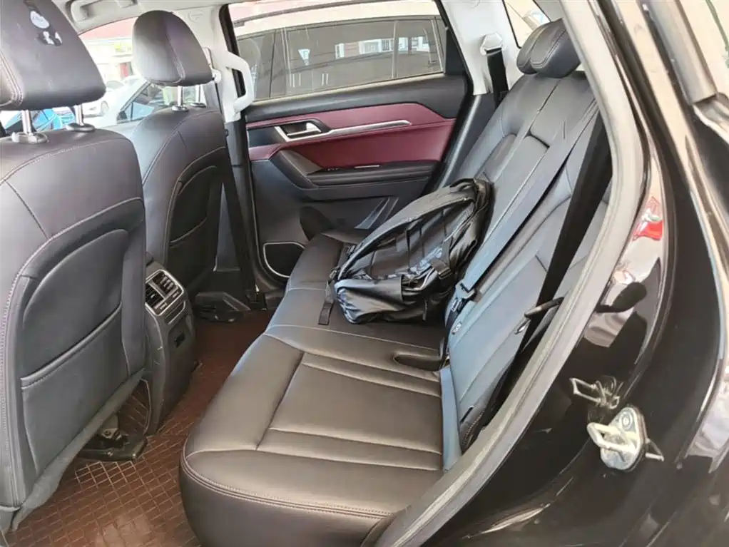 Haval H6 Coupe 2018 Red Label 1.5T Auto 2WD Ultra Luxury фото 17