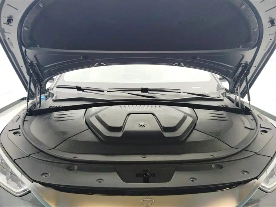 BYD Song PLUS PHEV 2021 EV Flagship фото 10