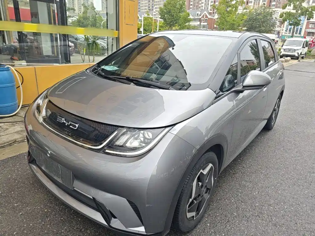 BYD Dolphin 2021