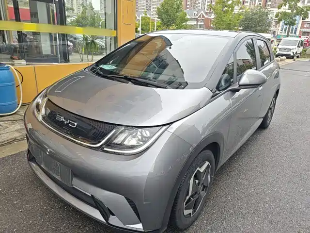 BYD Dolphin 405km, Стиль