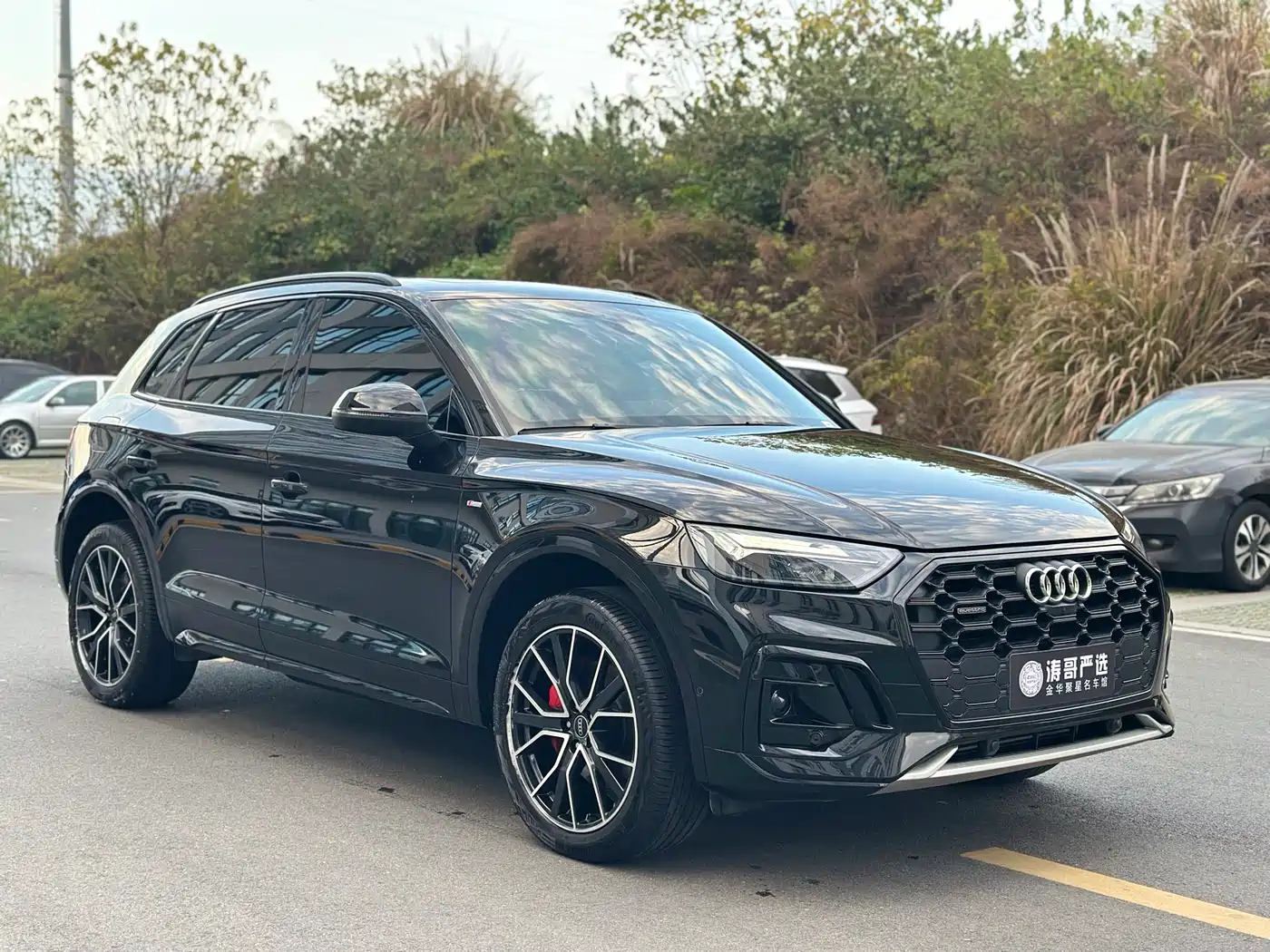 Audi Q5L 2025 45 TFSI Luxury Dynamic фото 3