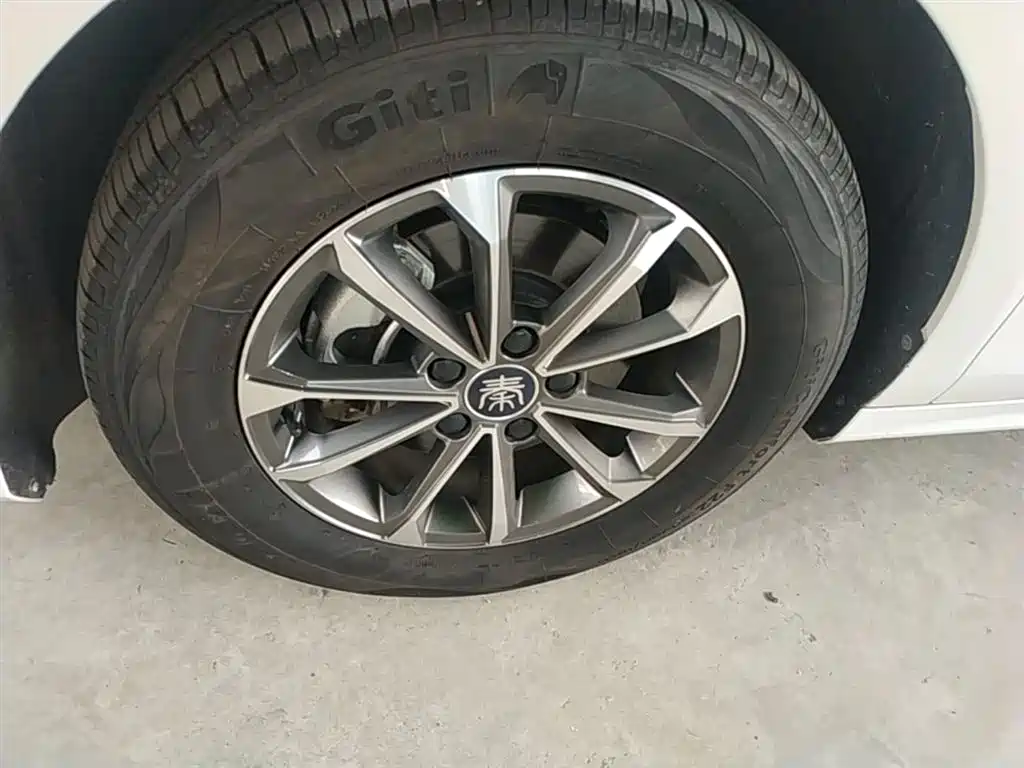 BYD Qin PLUS 2023 Champion Edition DM-i 55KM Leading фото 22