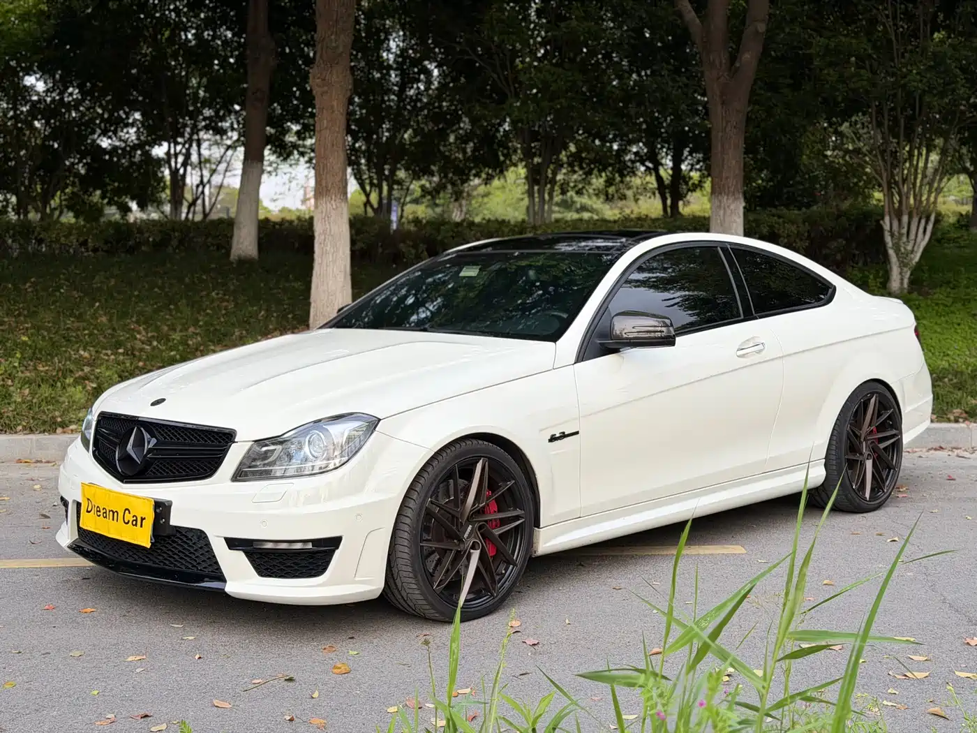 Mercedes-Benz C-Class AMG 2012 AMG C 63 Coupe Dynamic