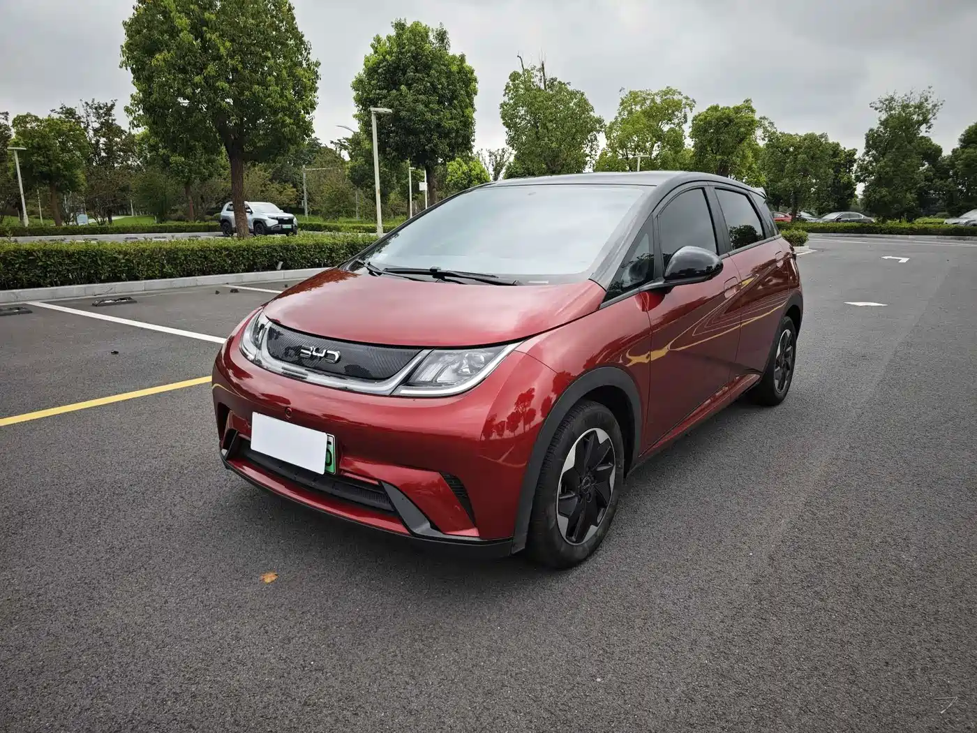 BYD Dolphin 2025