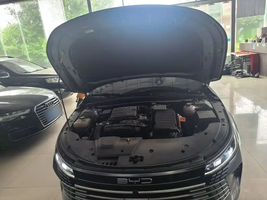 BYD Destroyer 05 2023 2023 Champion Edition DM-i 55KM Luxury