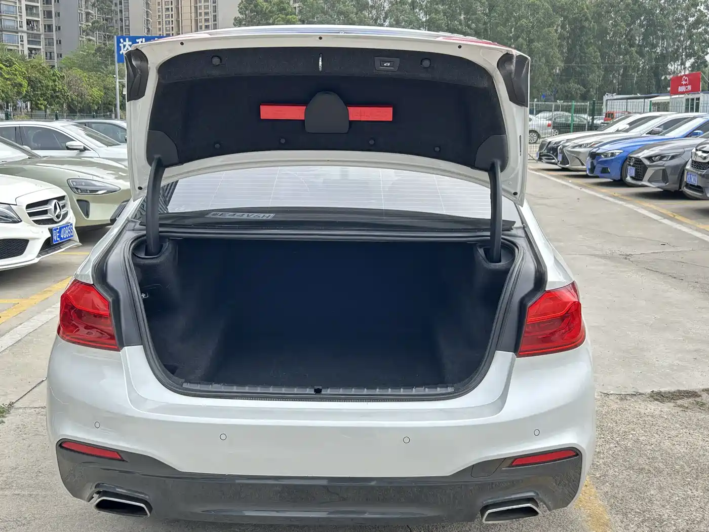 BMW 5 Series 2019 530Li Leading M Sport Package фото 20