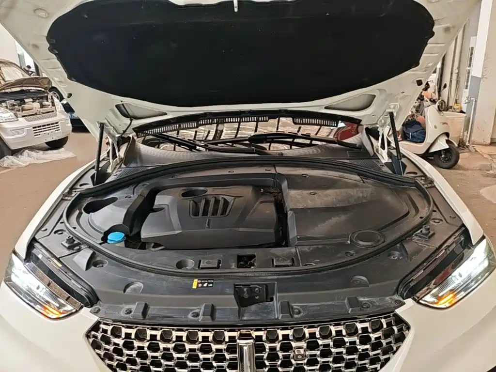 WEY VV7 2019 2020 Model 2.0T Flagship