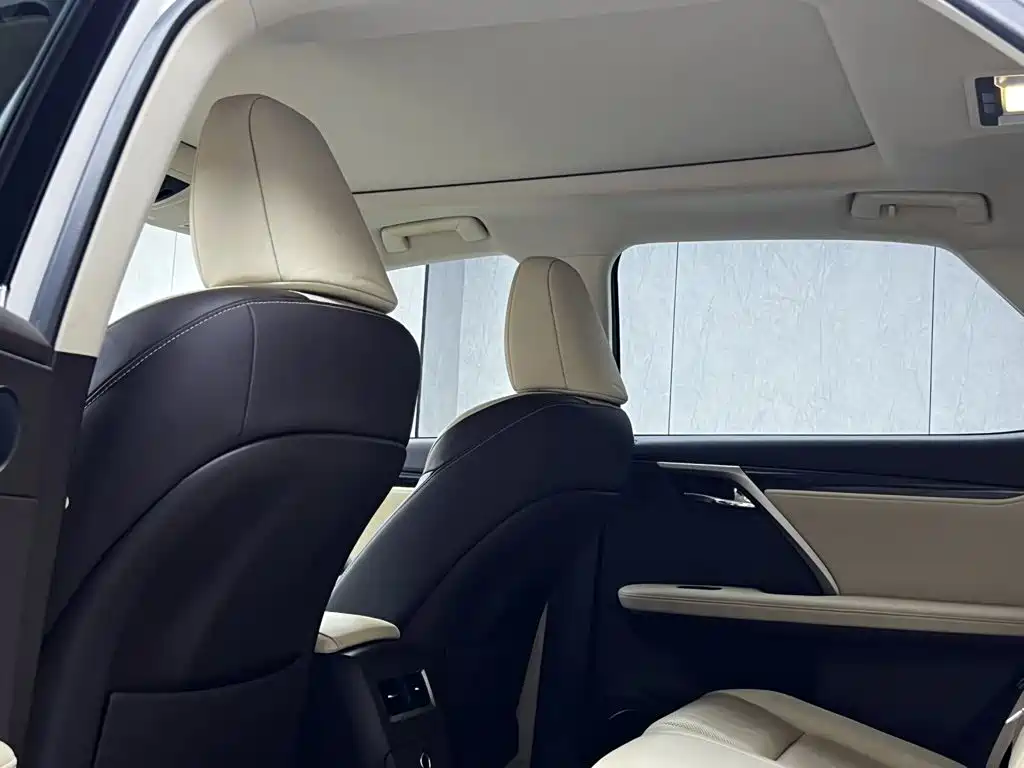 Фото 6 - Lexus RX