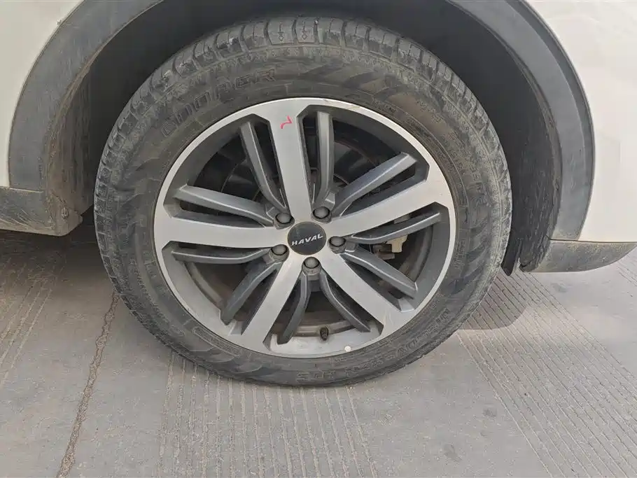 Haval H6 2019 2.0GDIT Automatic Luxury Smart Connect Edition China V фото 6