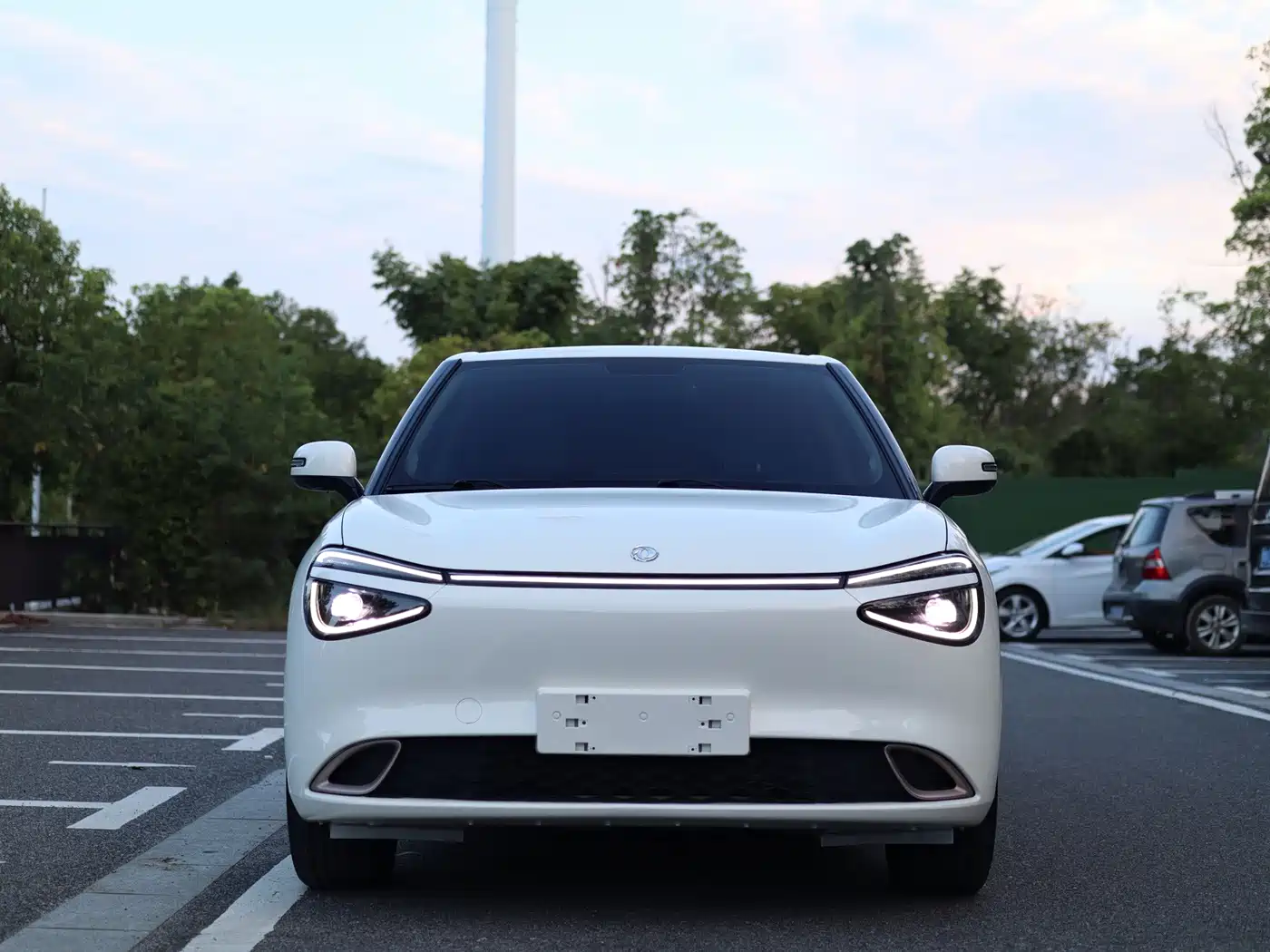 Фото 3 - Dongfeng Yipai Nano 01