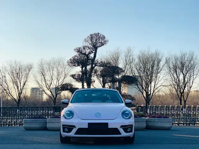 VOLKSWAGEN BEETLE