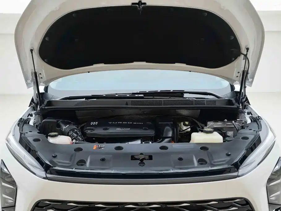 Фото 7 - Buick GL8 New Energy