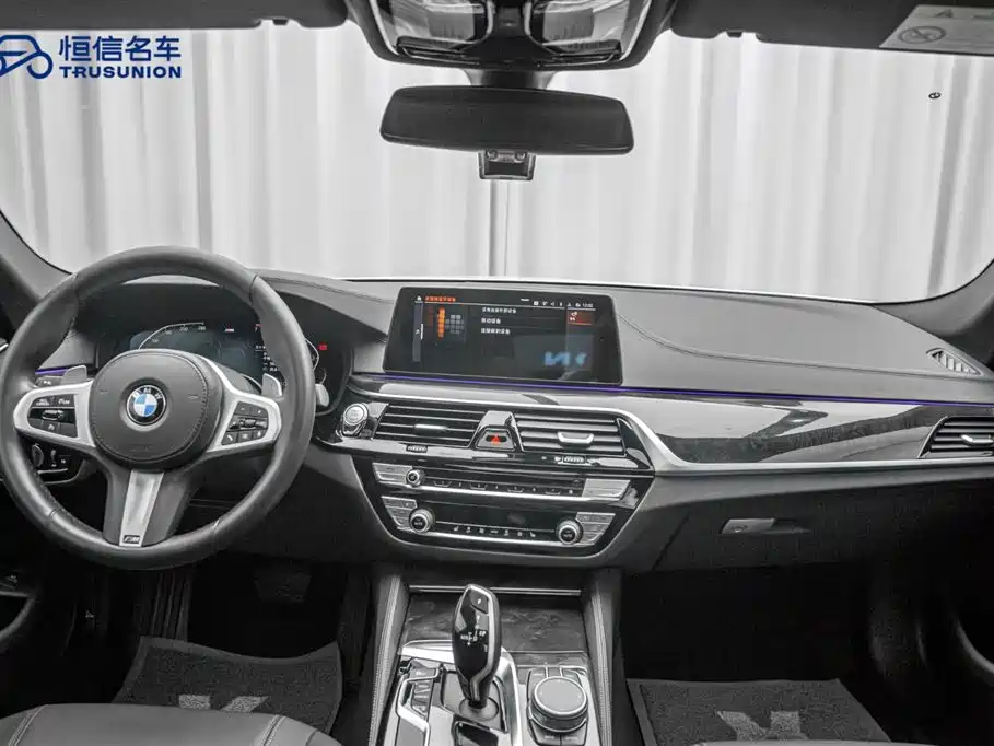 BMW 5 Series 2020 530Li Leading M Sport Package фото 13