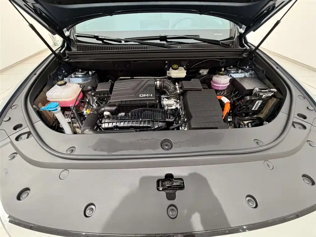 BYD SONGJIANG NEW ENERGY