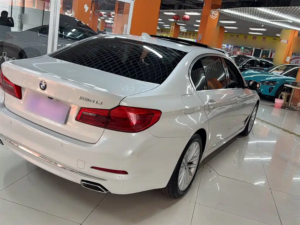 BMW 5 Series 2020 530Li Leading Luxury Package фото 9
