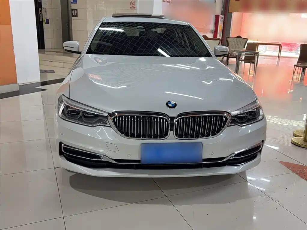 BMW 5 Series 2020 530Li Leading Luxury Package фото 7