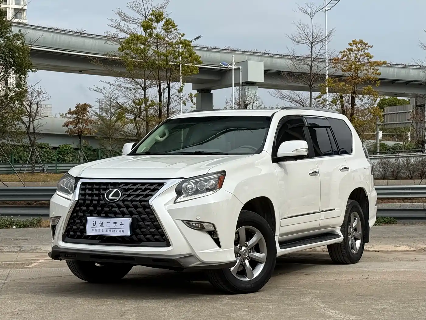 Lexus GX 2010 460