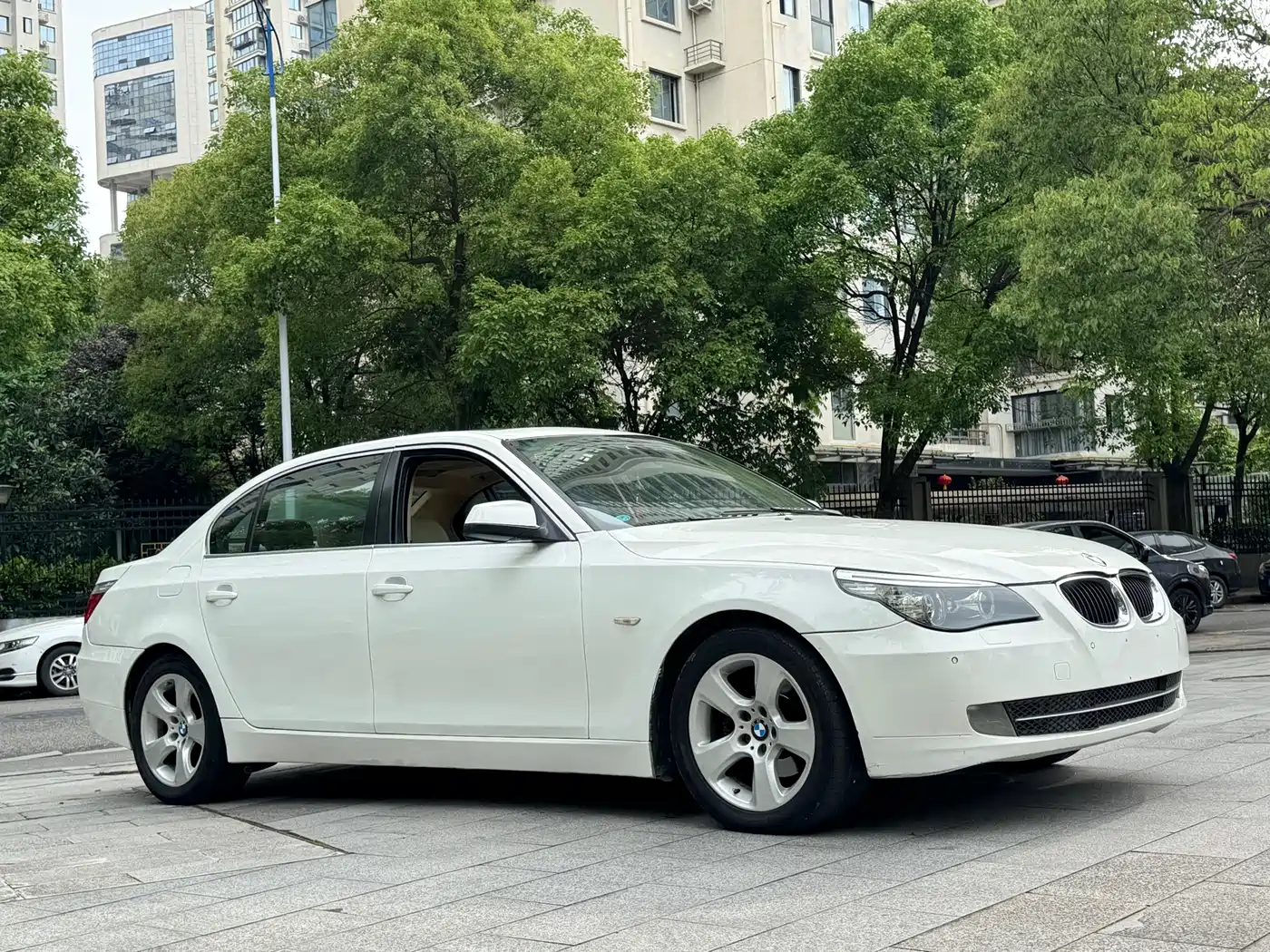 BMW 5 Series 2010 520Li Luxury фото 3
