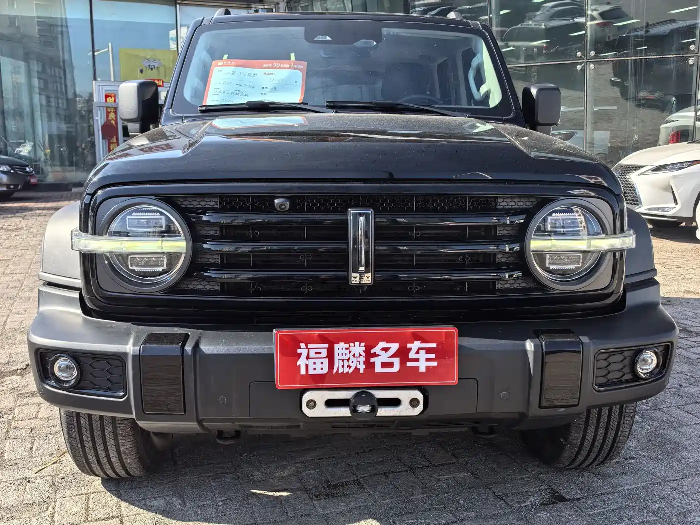 Tank 300 2021 Off-road Version 2.0T Conqueror