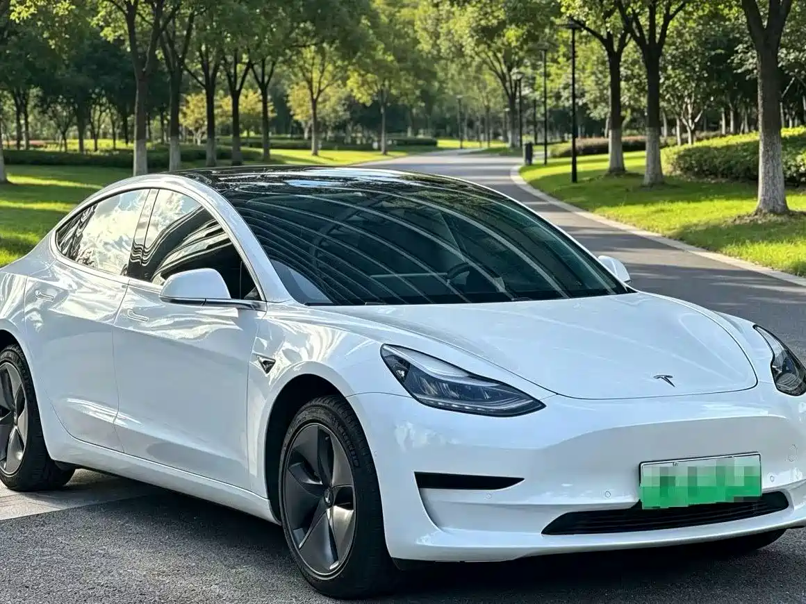 Tesla Model 3 (Import) 2019 2019 Standard Range RWD Upgraded Edition