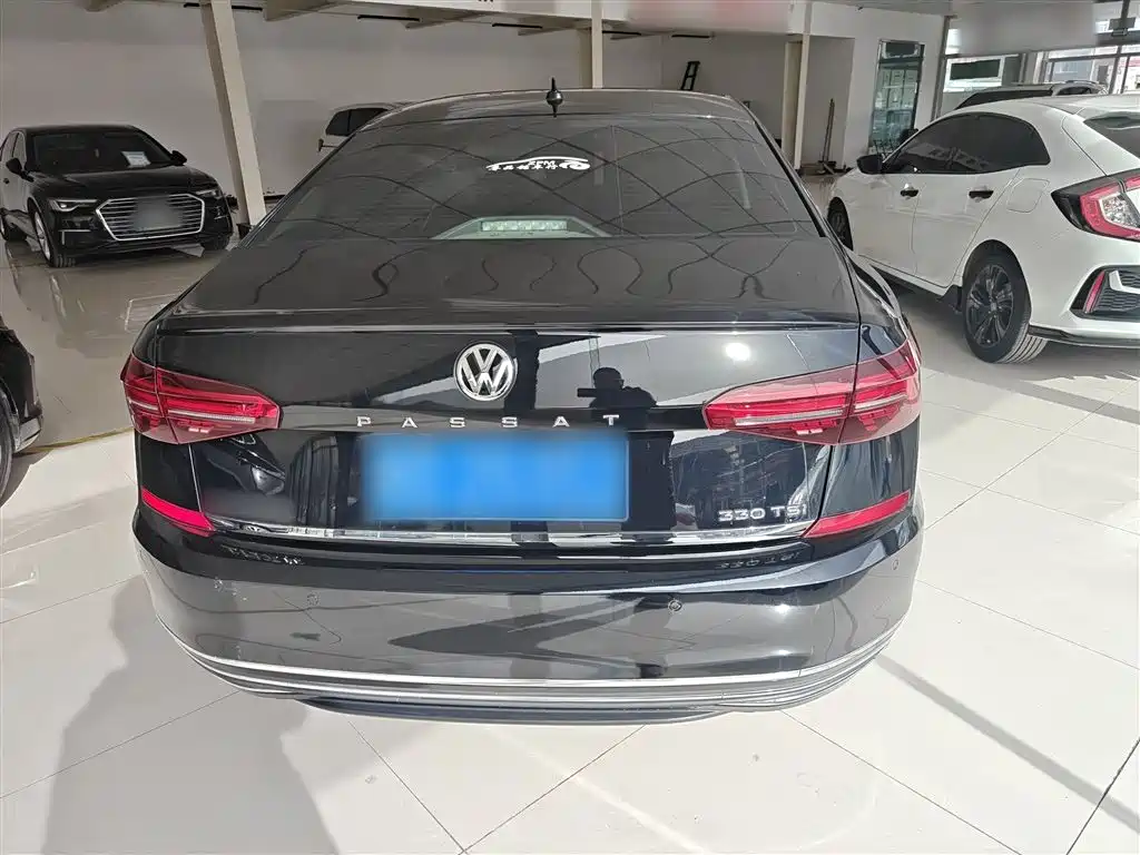 Volkswagen Passat 2019 330TSI Luxury Edition China VI фото 6