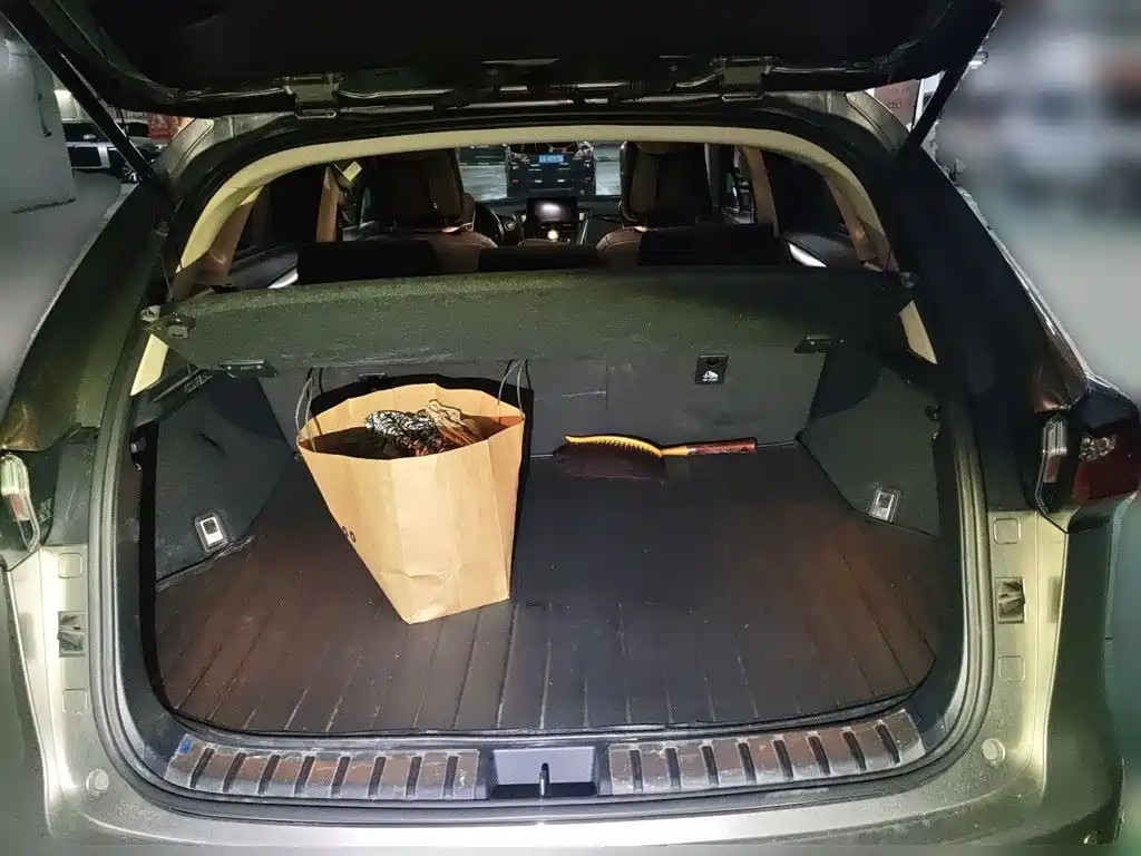 Lexus NX 2015 2015 200 FWD Premium