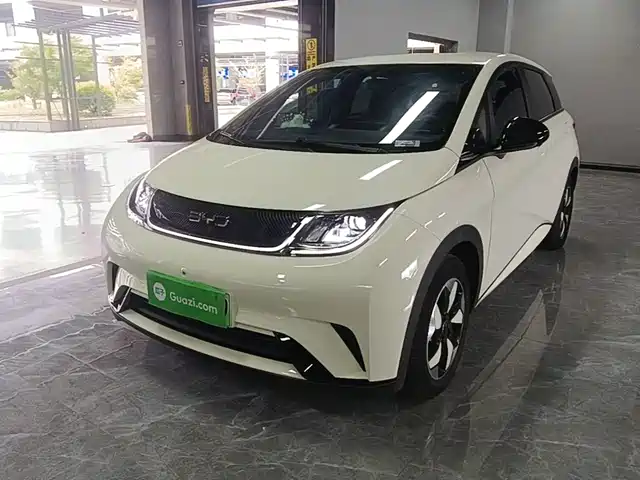 BYD Dolphin 420km, Свобода