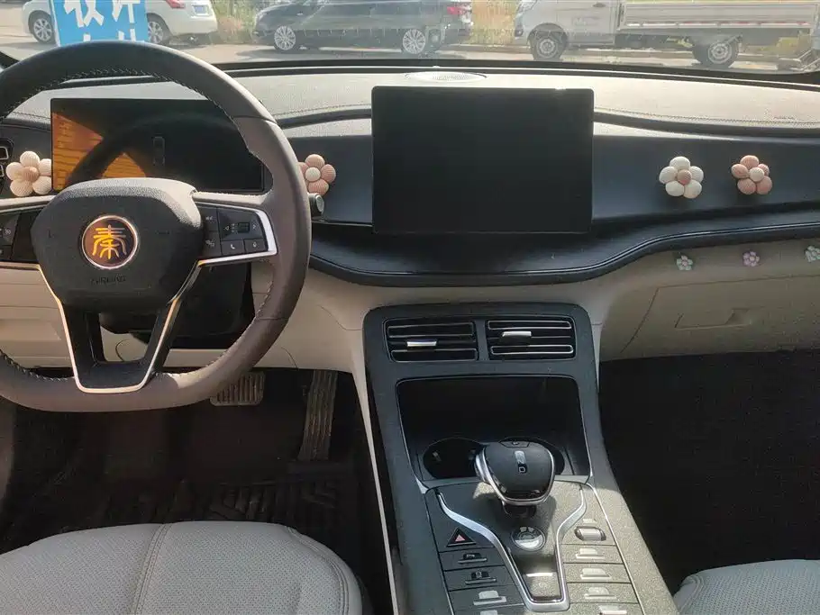 BYD Qin PLUS 2024 Glory Edition DM-i 55KM Leading фото 12